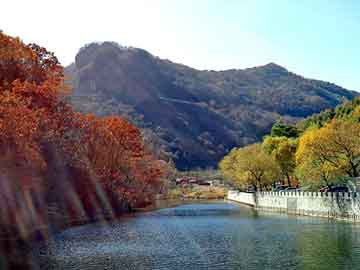 新澳天天开奖资料大全旅游团，邪君都市行下载